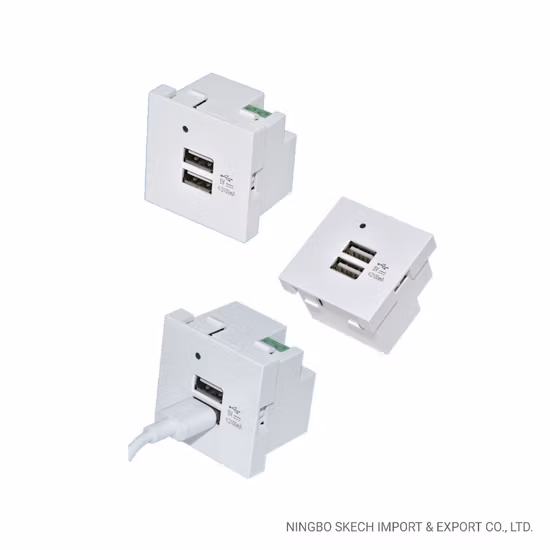 Dual Port USB Charging Module 5.0V/2.1A USB Type a Quick Charger 45X45mm Charging Socket with LED Light